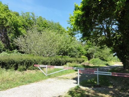 20100522 160539